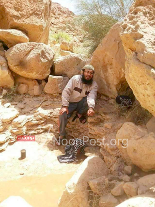 نون بوست