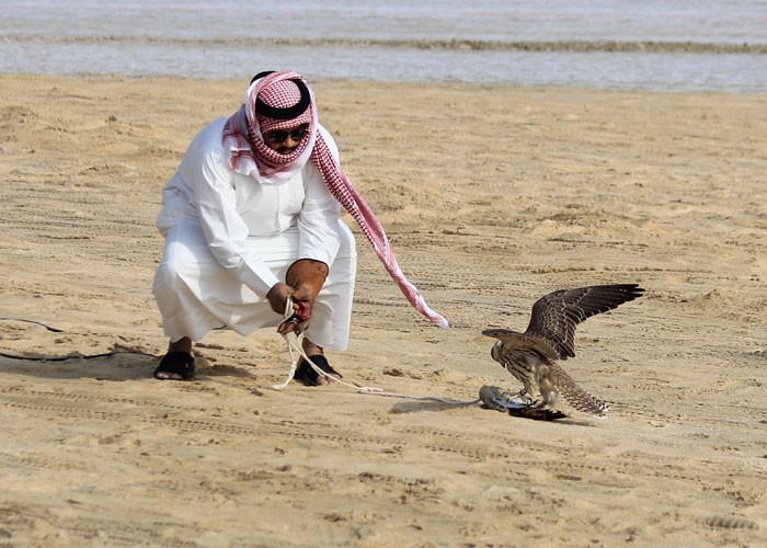 نون بوست