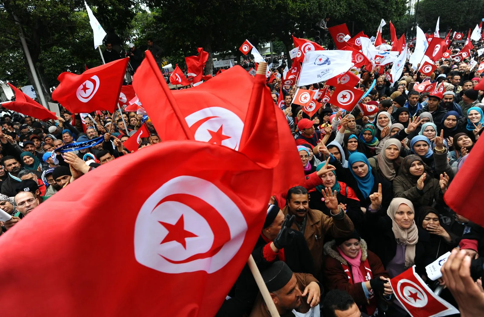 سعي إماراتي متواصل لضرب الديمقراطية التونسية