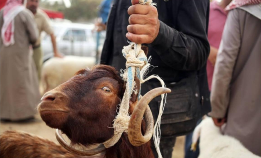 نون بوست