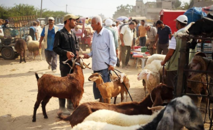 نون بوست