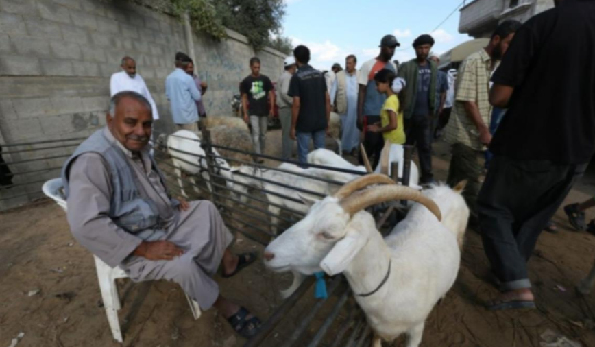 نون بوست