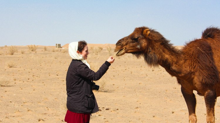 نون بوست