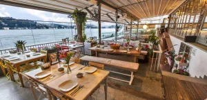 تركيا: البلاد التي تشهد ولادة جديدة لفن الطهو الذي يعكس جذورها