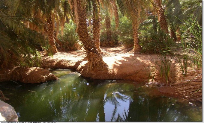 نون بوست