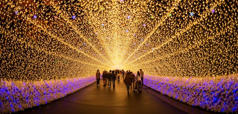 nagoya-japan-nabana-no-sato-garden-with-light-illumination-at-night-in-winter