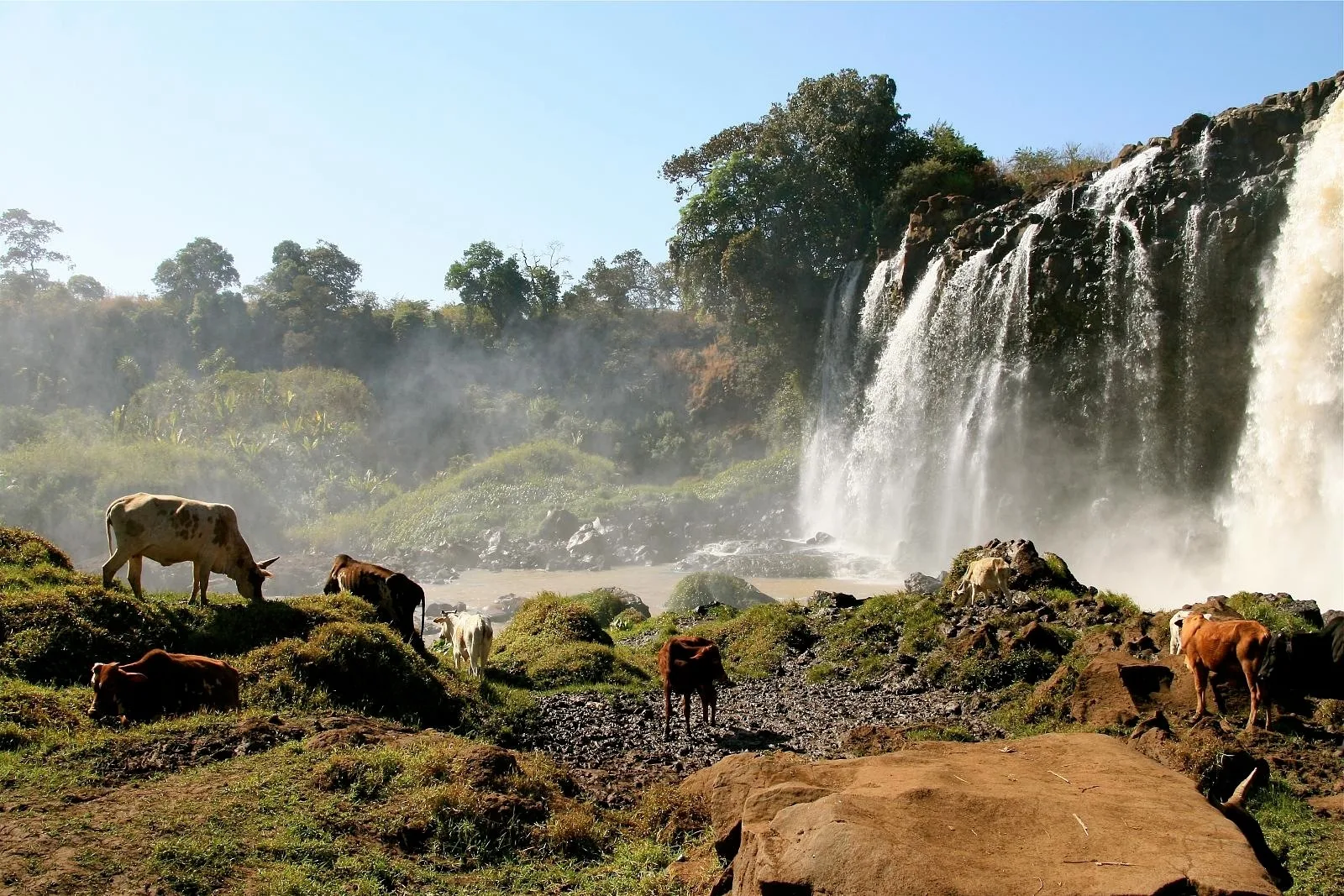 by-marcveraat-via-flocler-lake-tana1