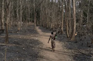 سحابة الجوع تطل برأسها مجددًا على ملايين الأفارقة