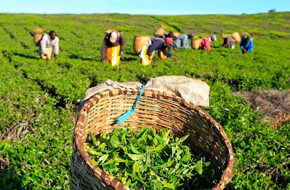 متظاهر في الاحتجاجات التي اندلعت بداية الشهر الحاليّ في العراق