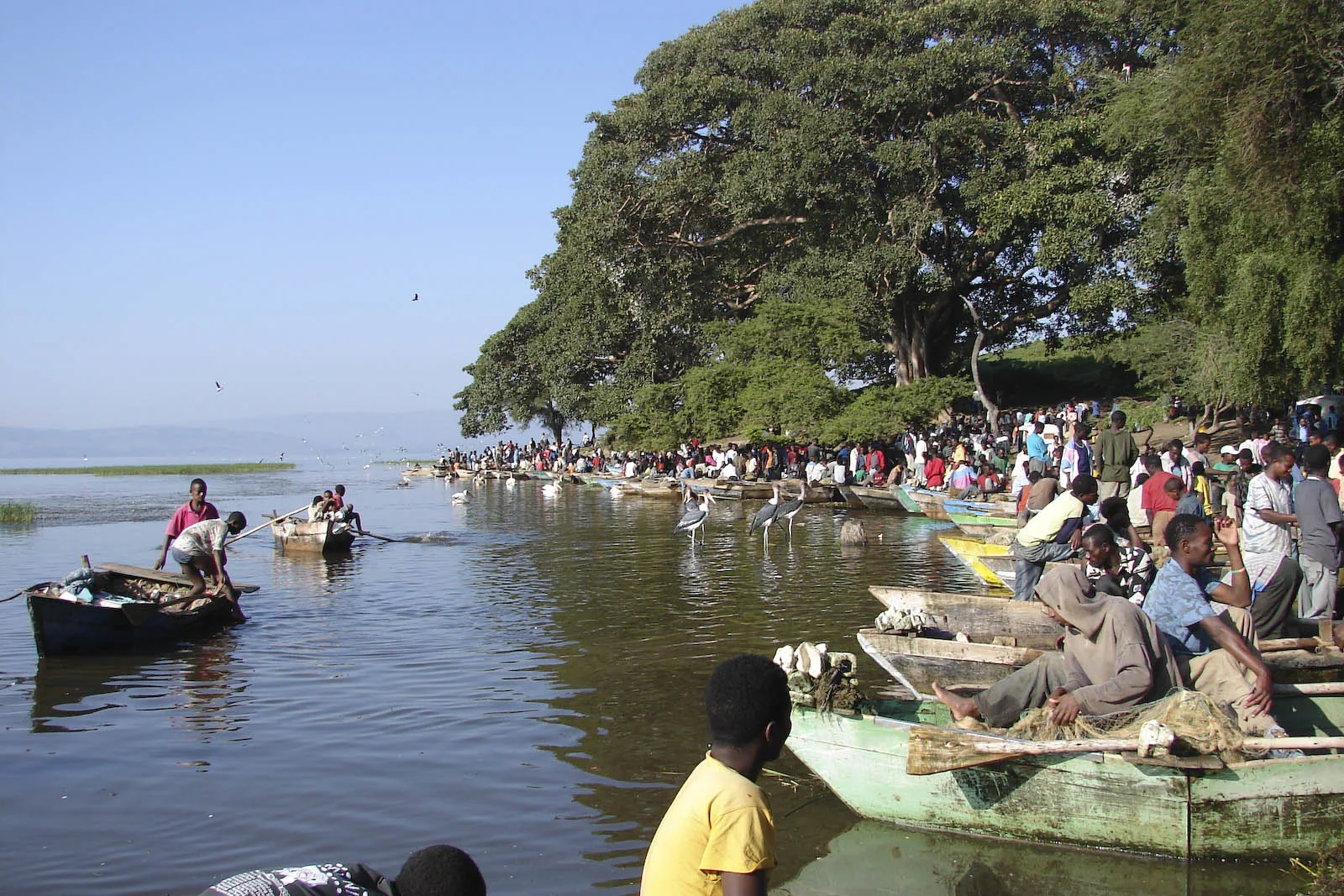 awasa_fish_market