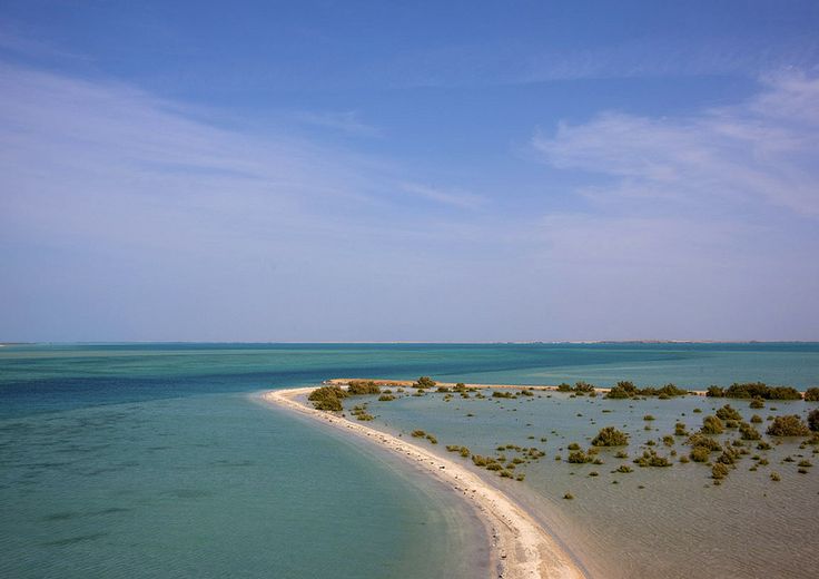 نون بوست