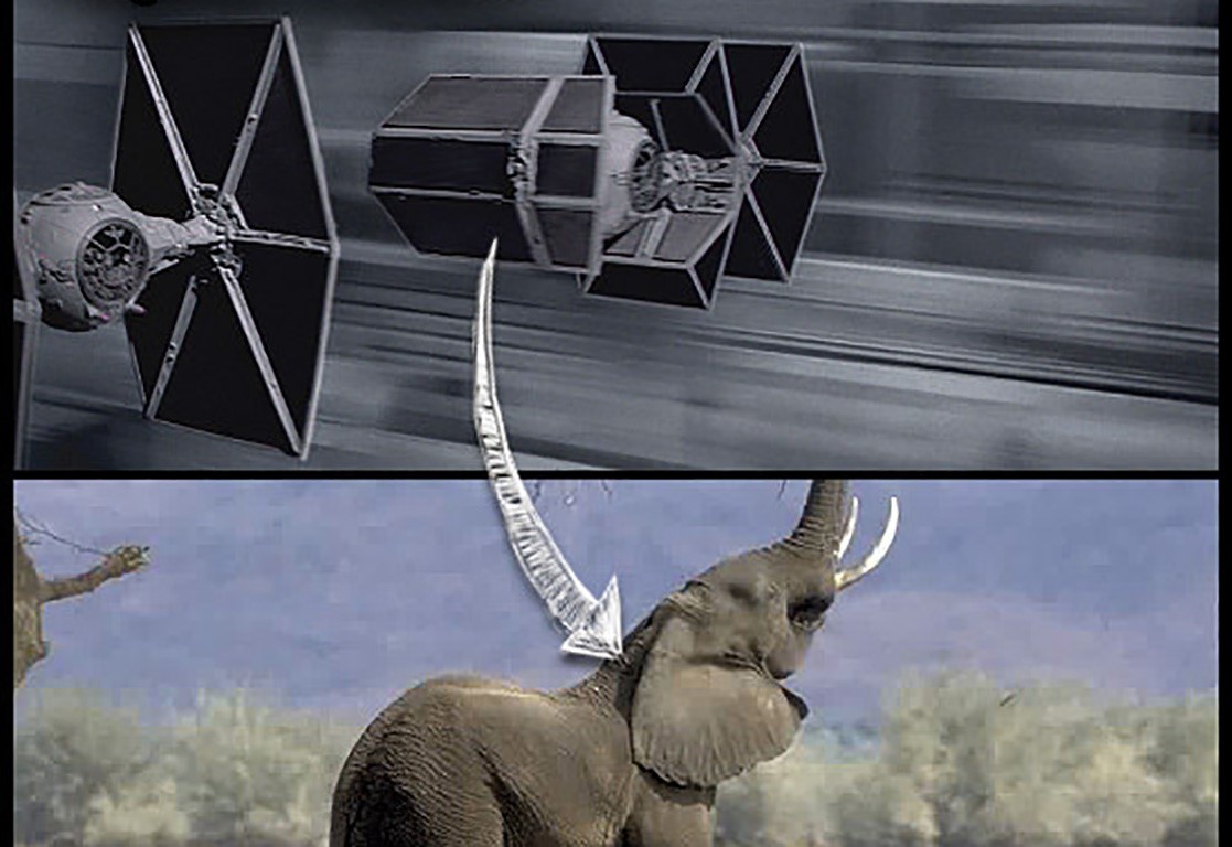 نون بوست