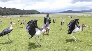 ماذا تعرف عن “هوَّاسا” زهرة الجنوب الإثيوبي؟