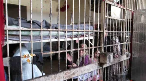 سجون الأسد.. هاجس المظلومين في سوريا