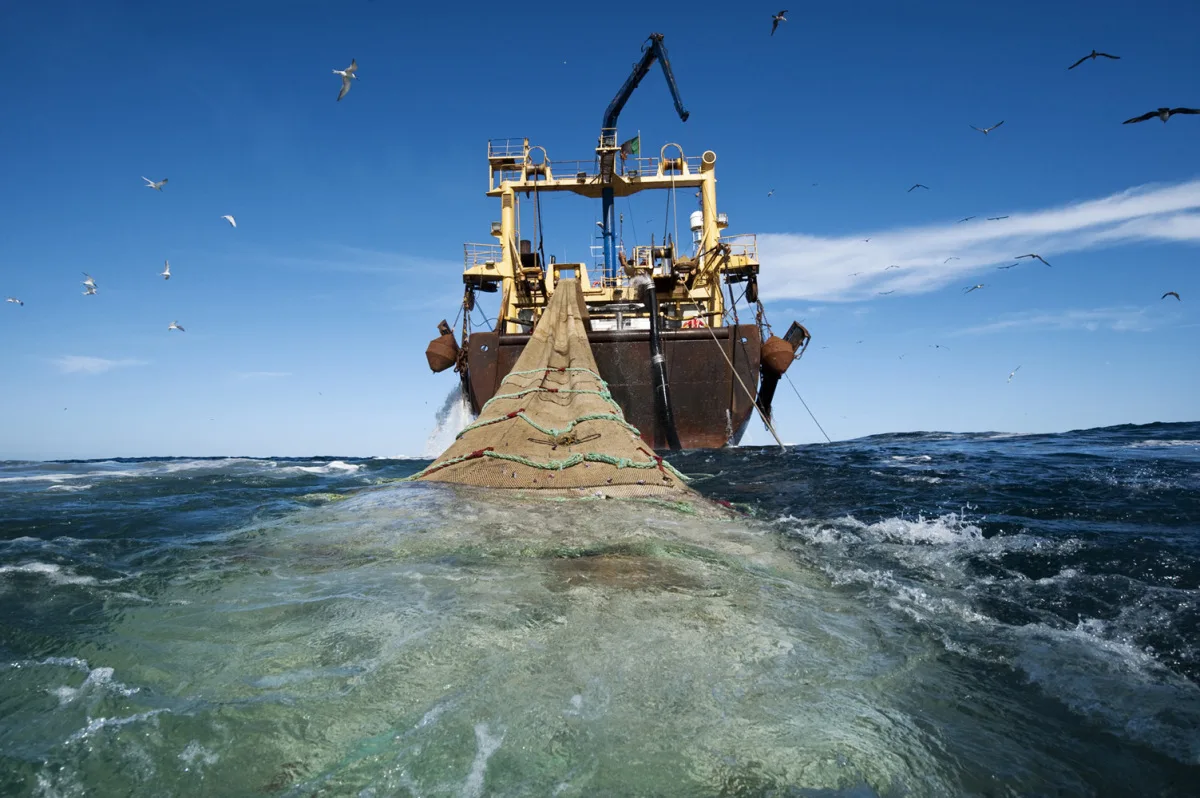 barcos-de-pesca-espanoles