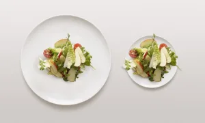 الأوهام في تناول الطعام: كيف تخدعنا أشكال أطباقنا وألوانها؟