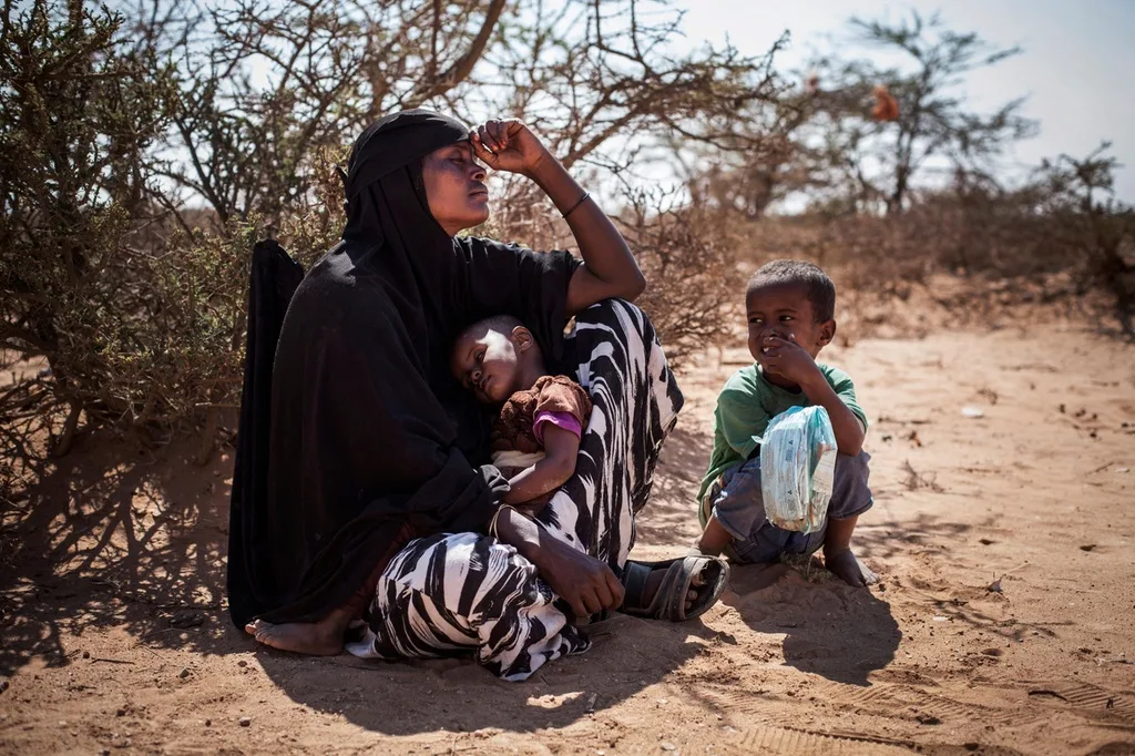 swissinfo_somaliland_mora06