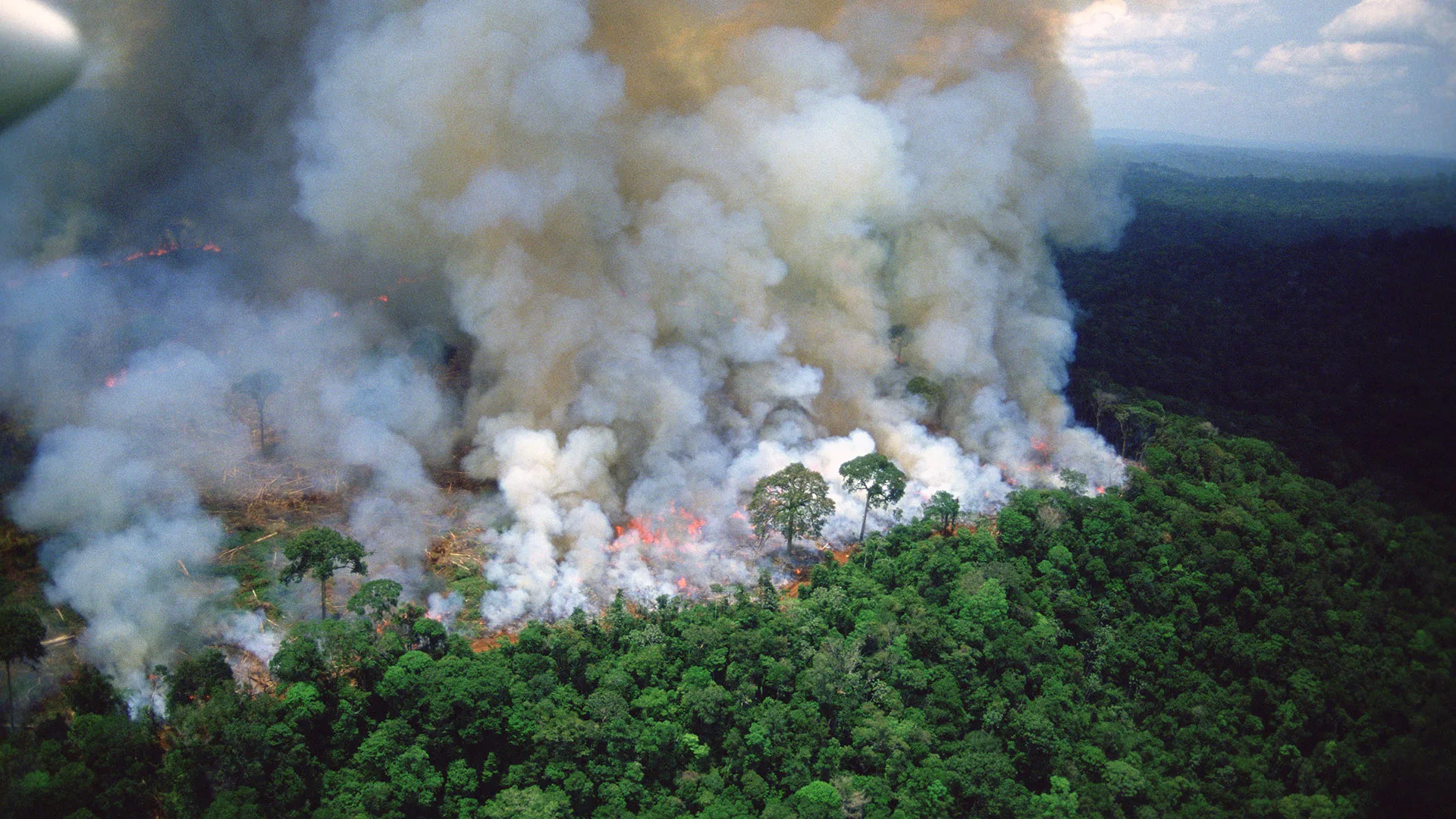 amazon-rainforest-fire