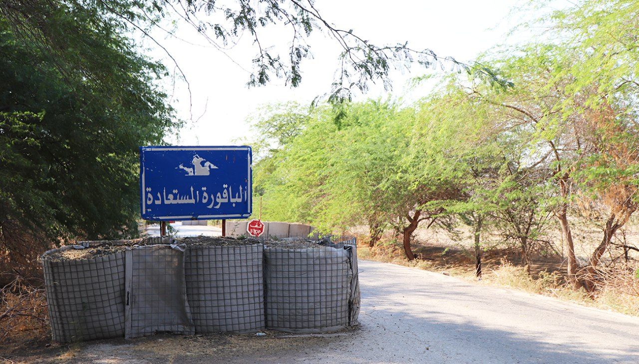الباقورة