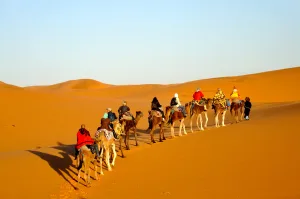 السياحة الصحراوية