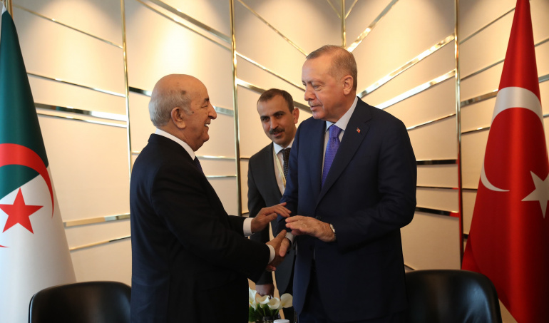 لقاء تبون وأردوغان