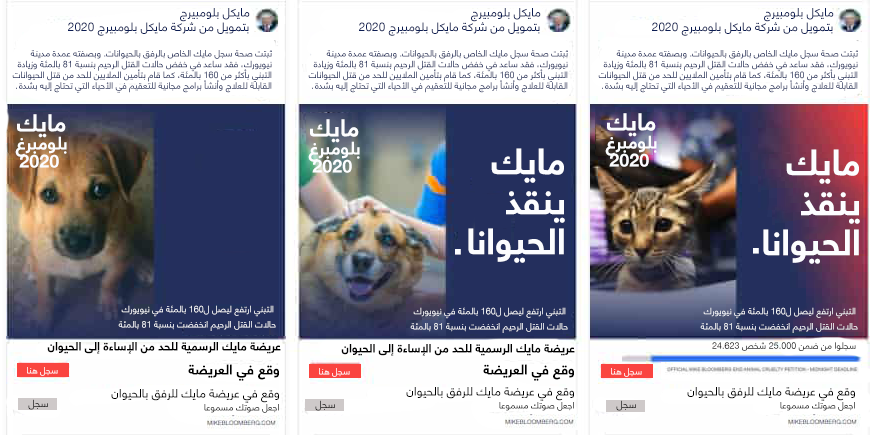صورة
