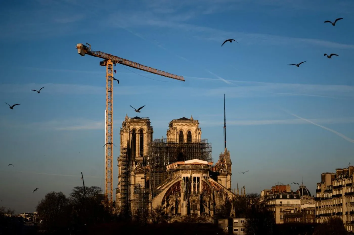 notre_dame_2020_afp_0