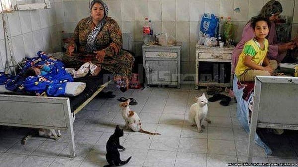 تهالك النظام الصحي المصري