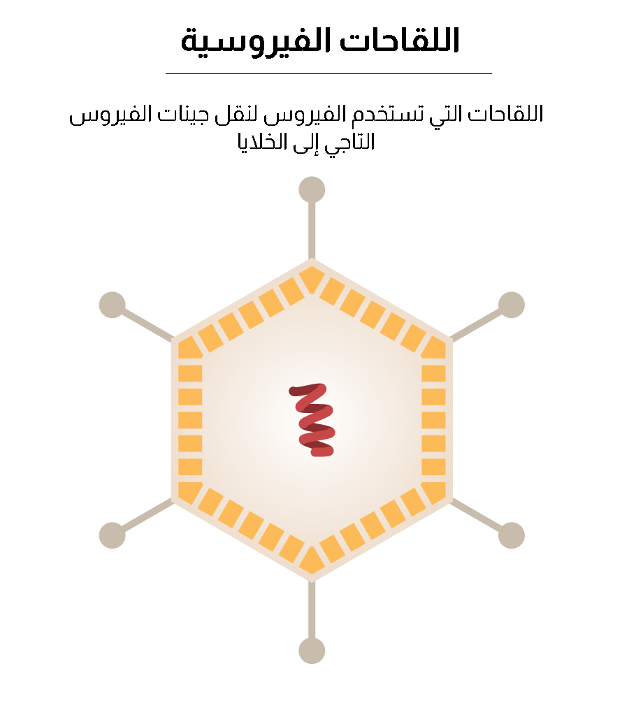 ص