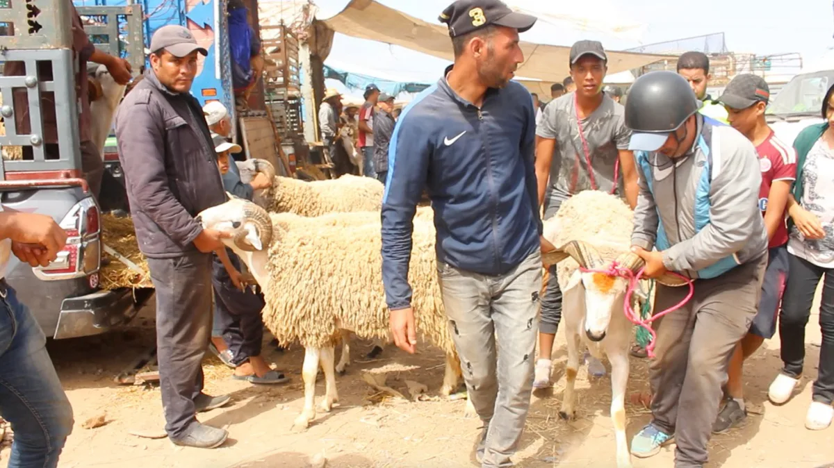 للتونسيين عادة كثيرة في عيد الأضحى