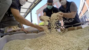 نظام الأسد وليس داعش من أنتج وهرب المخدرات إلى إيطاليا