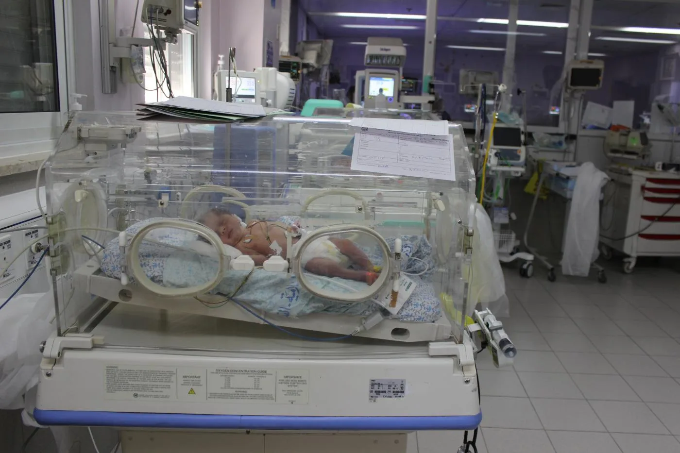 6-طفل حديث الولادة في قسم الأطفال الخدج في مستشفى المقاصد