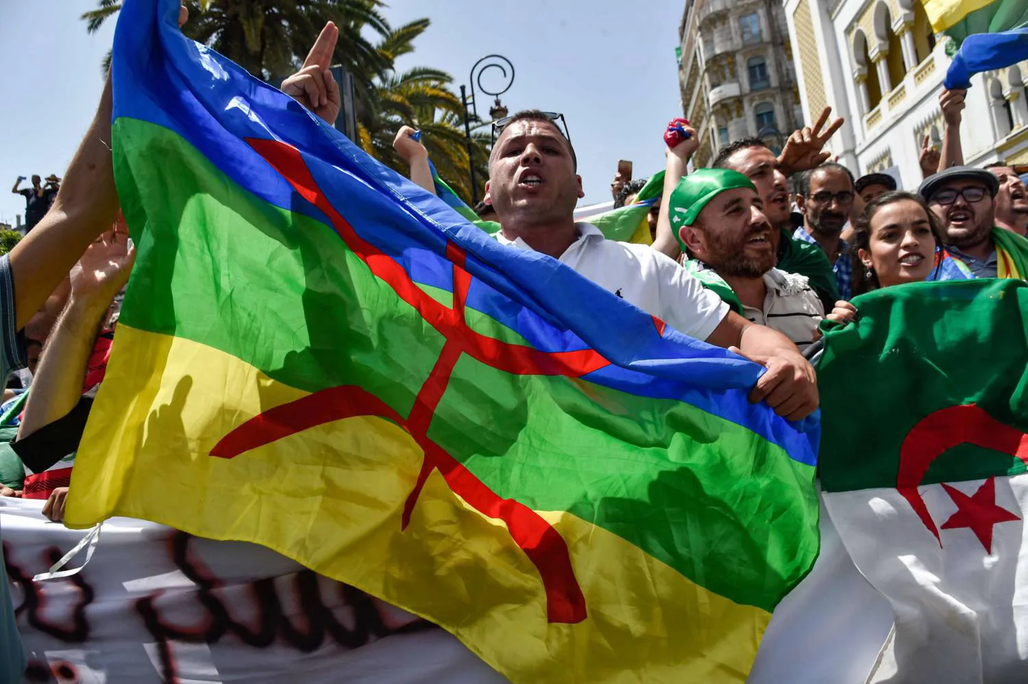 algerienamazigh