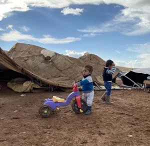 في ظل الانشغال بالانتخابات الأمريكية.. “إسرائيل” تواصل تشريد الفلسطينيين