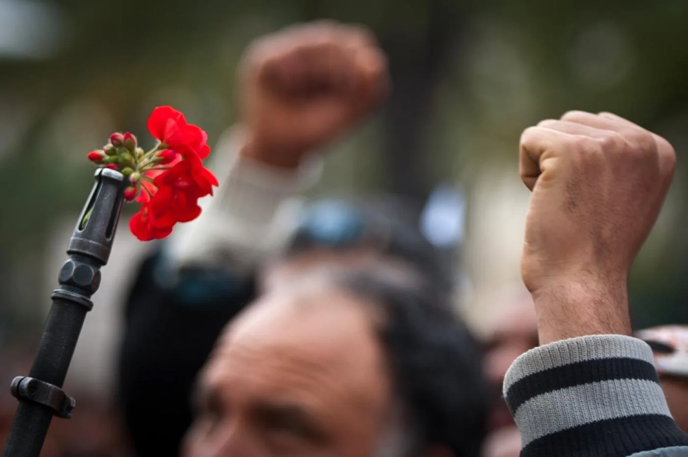 tunisia 2011 afp