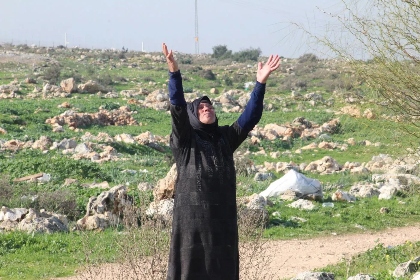 Palestinian woman in the West Bank