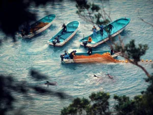 فيلم “بحار ومؤامرات”.. لن تتناول السمك مجددًا على الإطلاق