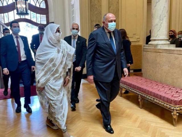 سامح شكري ومريم الصادق