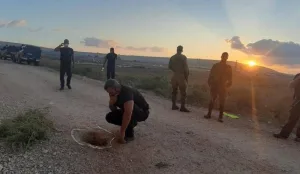 سجن جلبوع_0