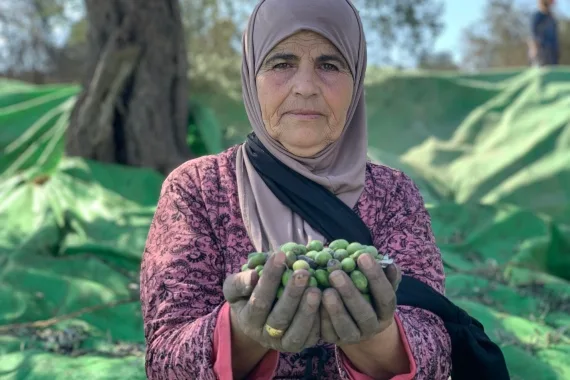 تعمل عائشة خضير في مزرعة عائلتها لأشجار الزيتون في قرية بيتا قرب نابلس