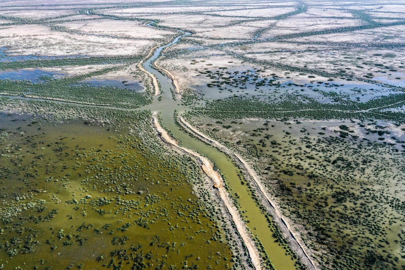 iraq drying earth in the Chibayesh marshland, june, 2021, afp