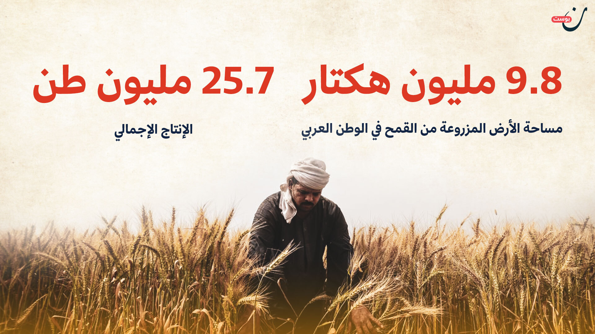 القمح في مصر