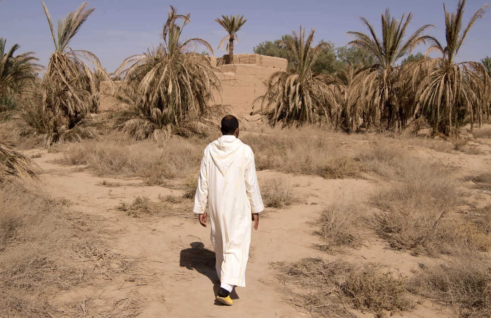تراجع القطاع الفلاحي في المغرب بسبب الجفاف