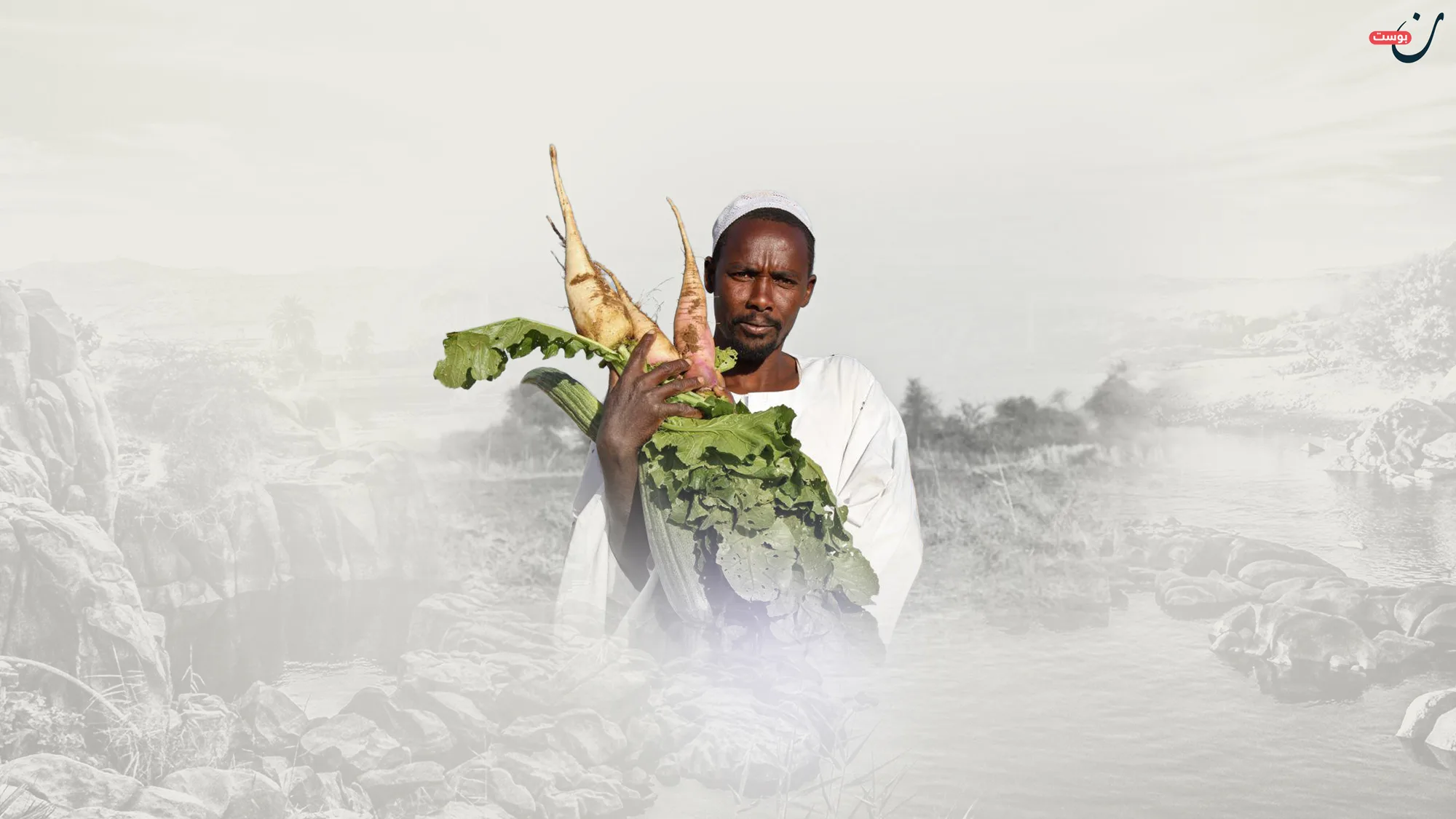 الثروة الزراعية في السودان