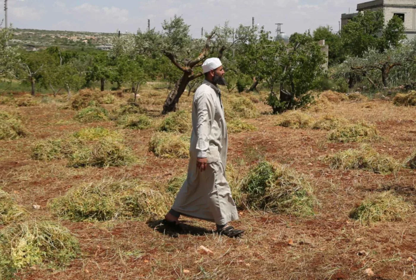 أحمد الأمين يتفقد مزرعته المتضررة في جبل الزاوية جنوب محافظة إدلب