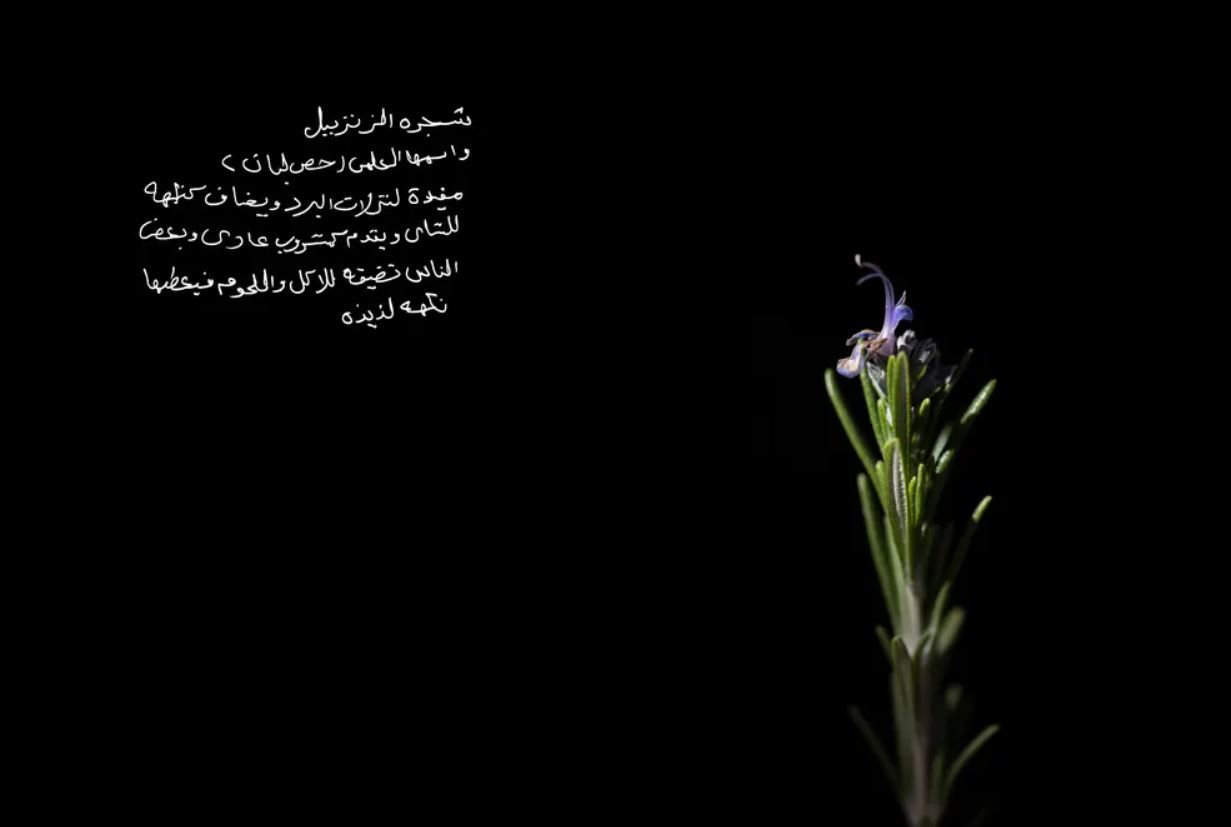 صورة