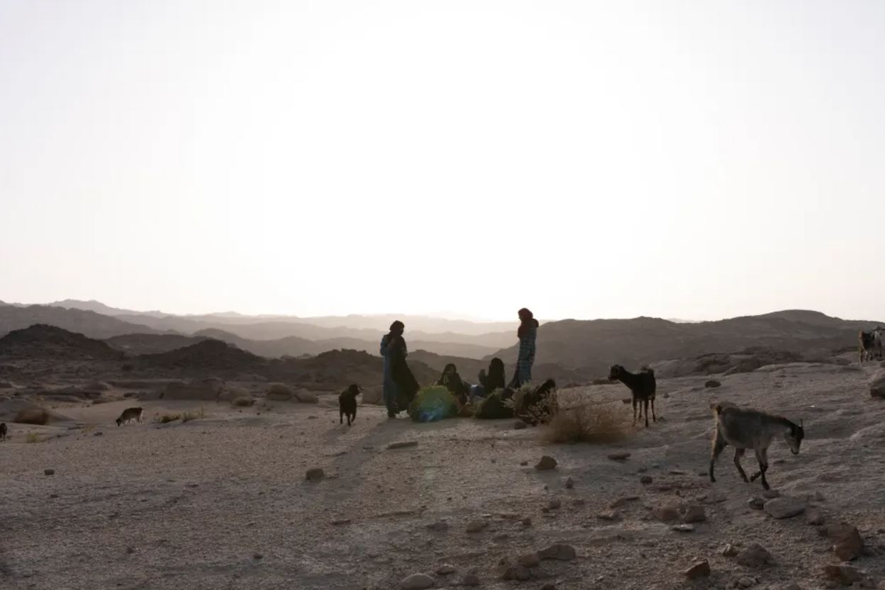 صورة