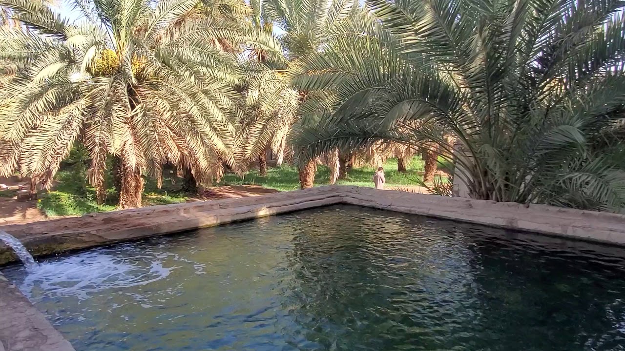 مزرعة سلمان الفارسي