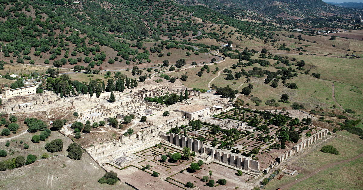 الزهراء