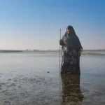 نون بوست